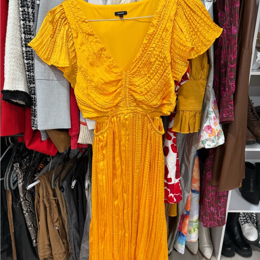 Express Golden Pleated Midi Dress